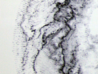 Southern Ocean Studies - Polar